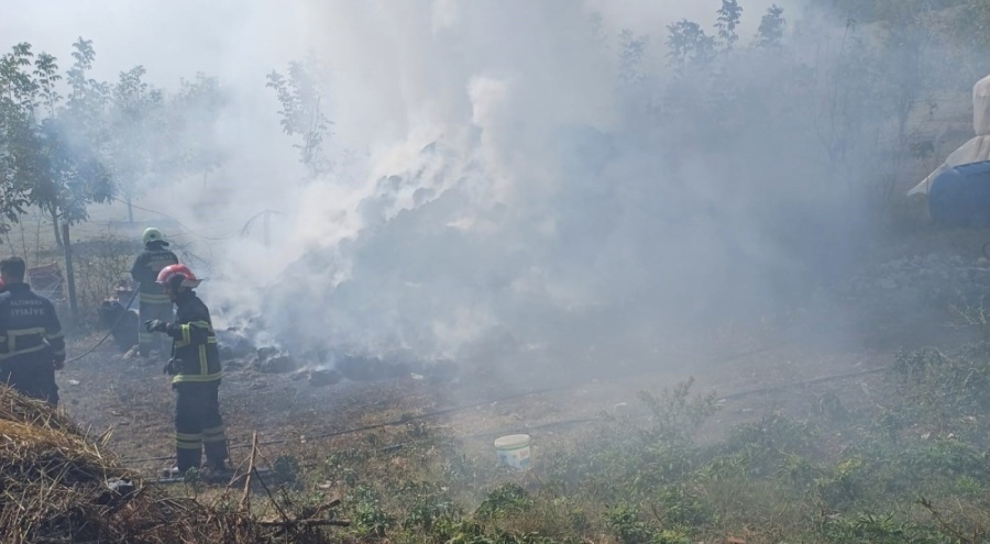 Yalova'da çıkan yangında 100 saman balyası kül oldu