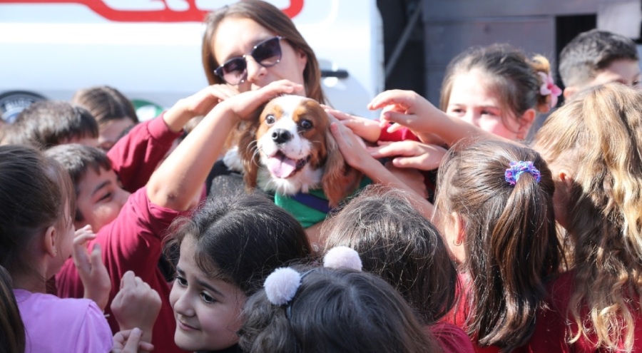 Bursa Büyükşehir Belediyesi tarafından 4 Ekim Hayvanları Koruma Günü'nde etkinlik düzenlendi
