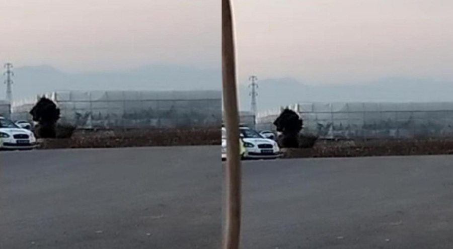 Hatay Reyhanlı sınırında el bombası bulundu