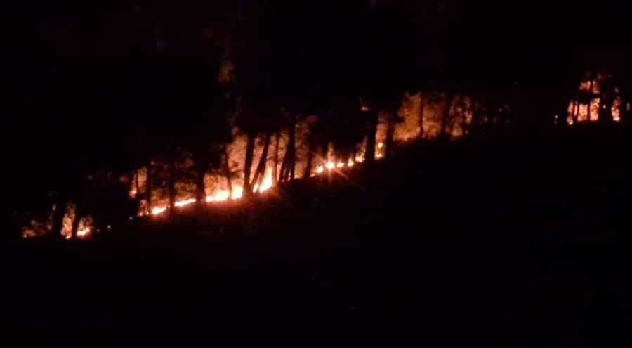 Adana Kozan'da orman yangını kontrol altına alındı