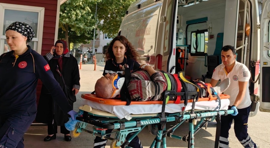 Bursa'da yaşlı adam incir ağacından düştü!