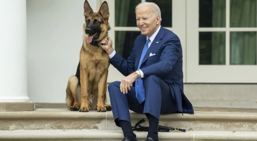 Biden'ın köpeğine Beyaz Saray'dan uzaklaştırma