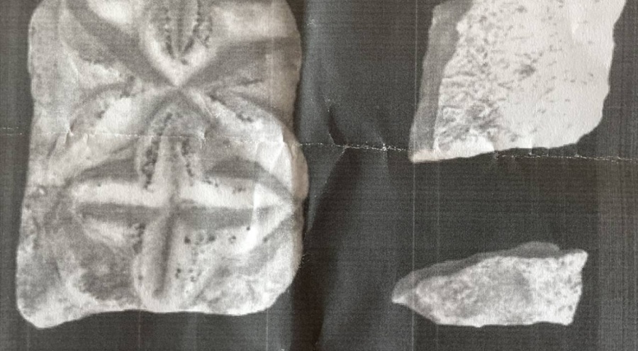 Tarihi taşları yurt dışına kaçırmaya çalışırken yakalanmıştı! 12 yıla kadar hapsi isteniyor