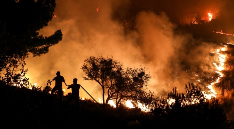 İstanbul Şile'de otluk alanda yangın çıktı
