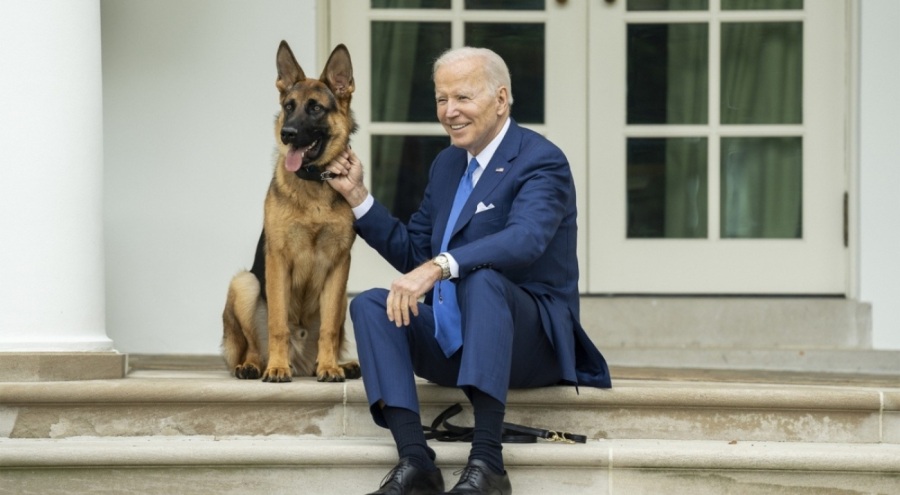 Biden'ın 11 kişiyi ısıran köpeği Beyaz Saray'dan gönderildi