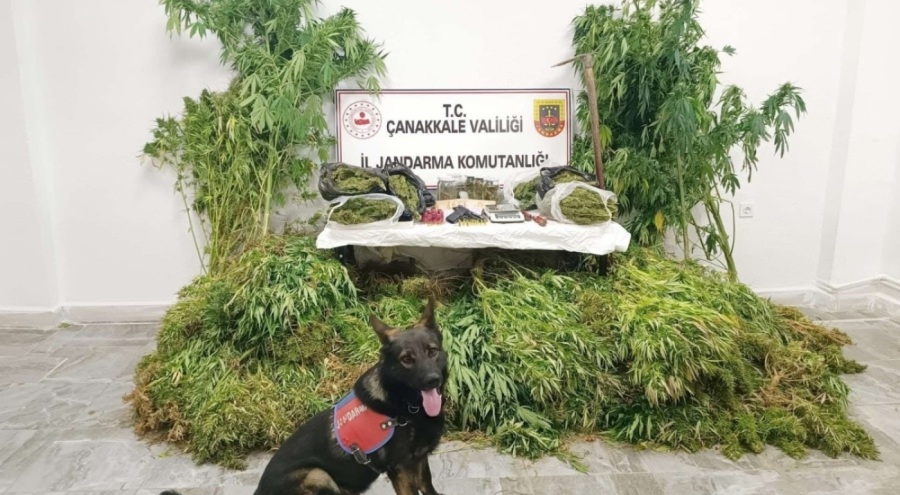 Çanakkale'de uyuşturucu operasyonu: 6 tutuklama