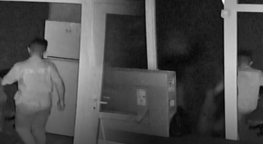 Kuaförün kedisini dakikalarca tekme ve yumruklarla darp etti!