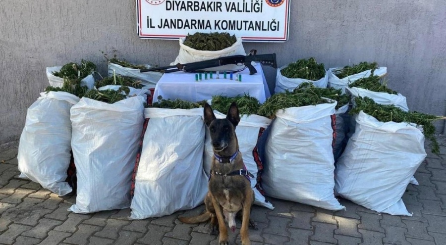 Diyarbakır'da kilolarca esrar ele geçirildi