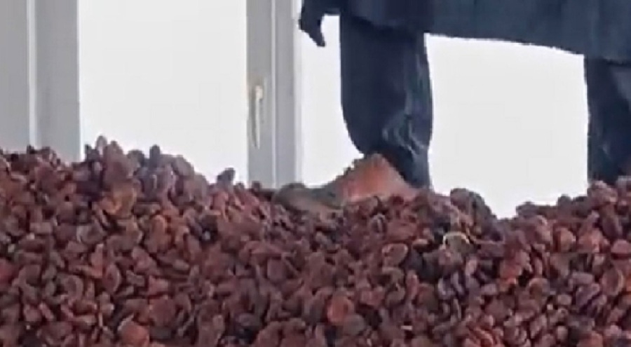 Kayısılara basarak çalıştığı anları paylaşmıştı... O görüntülere ceza