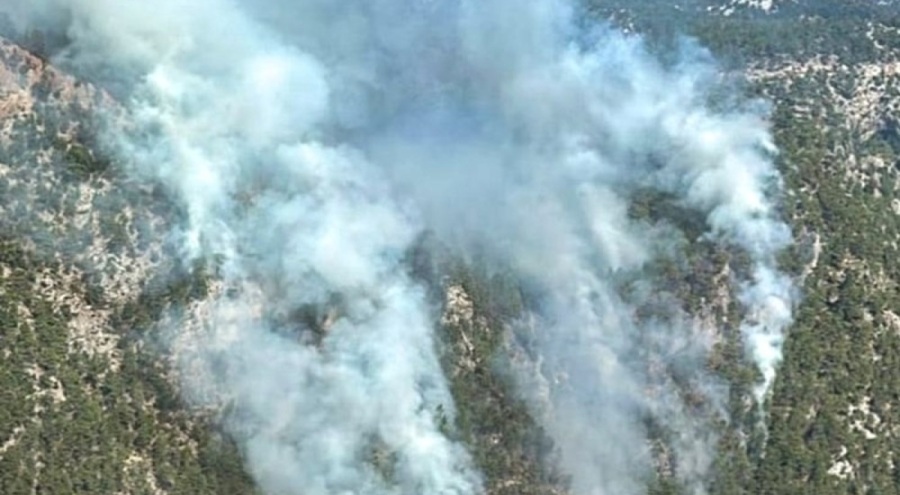 Burdur ve İzmir'de orman yangını