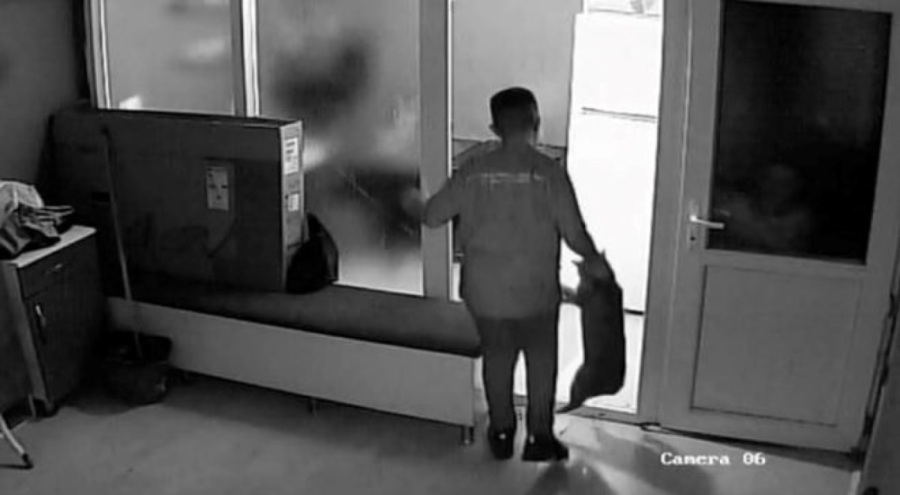 Kediye şiddet uygulayan caniye gözaltı