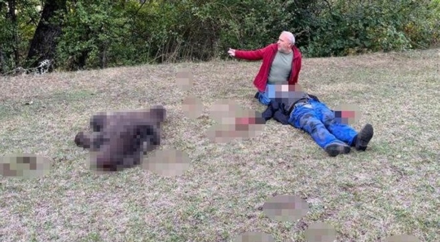 Ayının saldırısına uğradı: Komşuları kurtardı