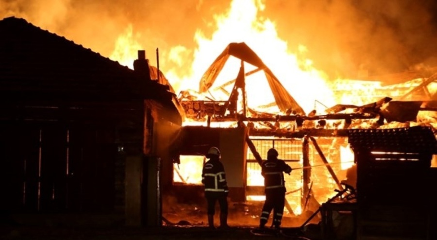 Geceyi alevler aydınlattı! Çok sayıda hayvan telef oldu