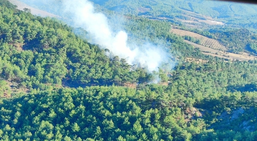 Çanakkale'de orman yangını
