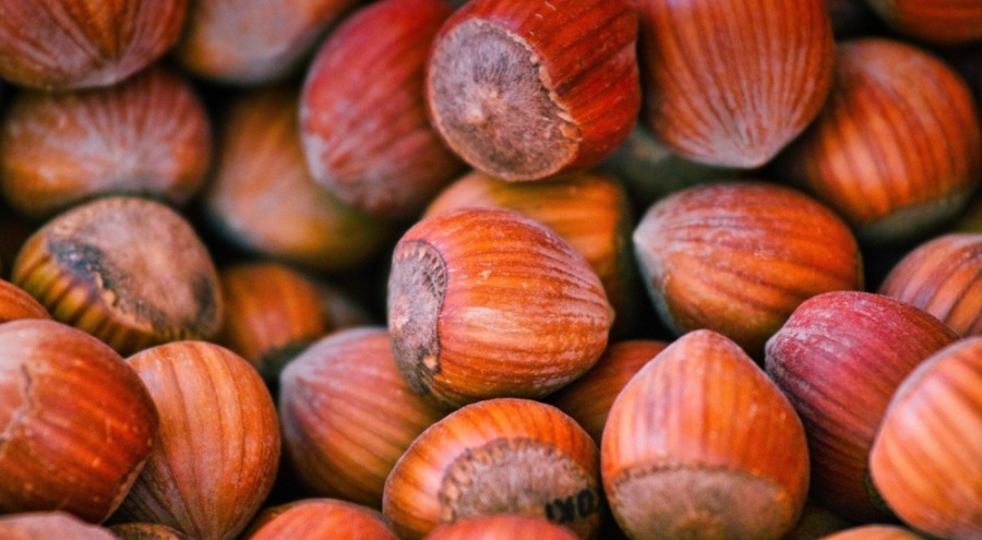 Güncel fındık alım fiyatları ne kadar?