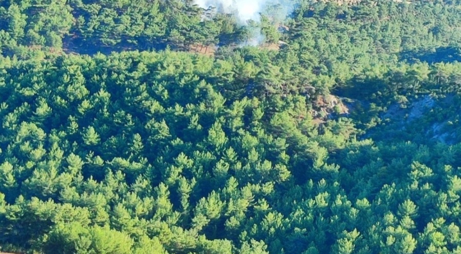 Çanakkale'deki orman yangını kontrol altına alındı!