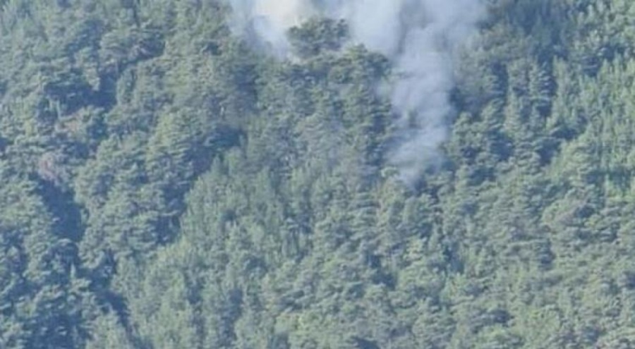 Muğla'da orman yangını çıktı!