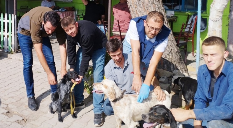 Bursa'da çip uygulaması sürüyor! 100 av köpeği çiplendi