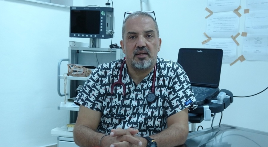 Uzmanı açıkladı: Koronavirüsün kedilerde görülme oranı yüzde 90'a yükseldi