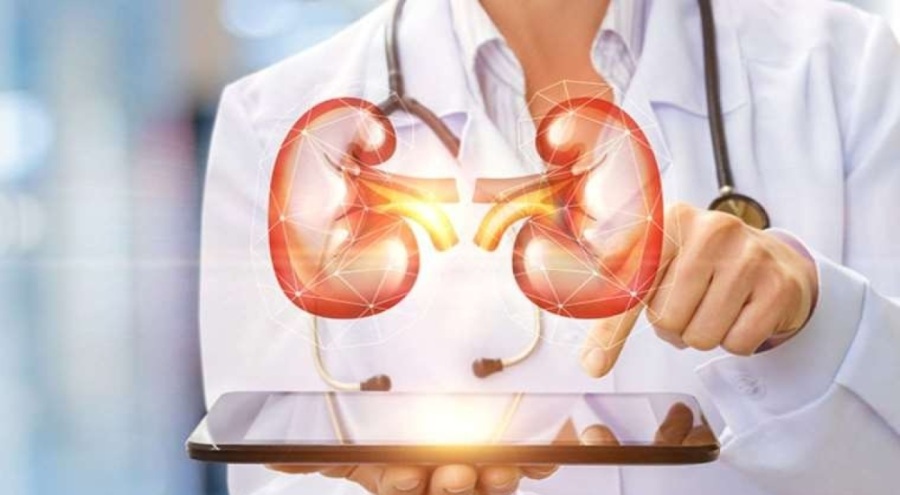 Böbrek iltihabının 7 önemli belirtisi açıklandı