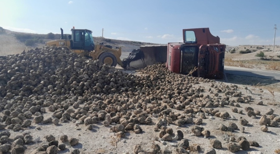 Kontrolden çıkan pancar yüklü tır devrildi!