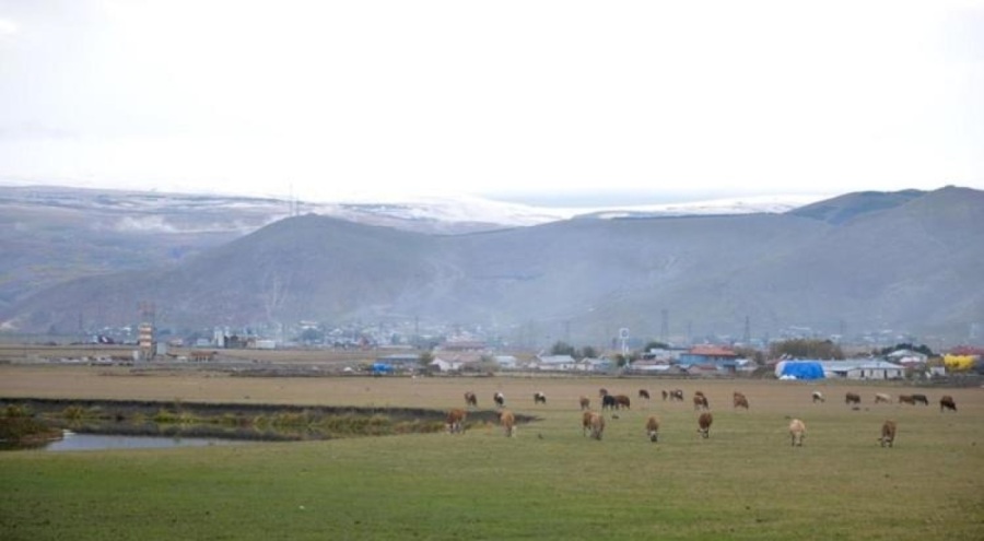 Ardahan'a kar yağdı