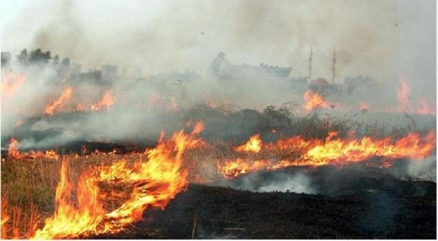 Anız yakan 30 kişiye 1 milyon 307 bin lira ceza