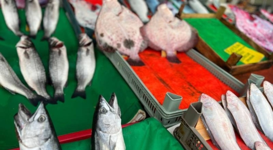 Balık fiyatları 5 günde zamlandı!