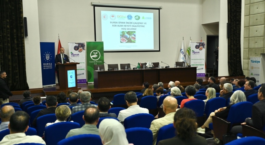 Bursa Siyah İnciri Çalıştayı ve B2B Alım Heyeti Faaliyeti başladı