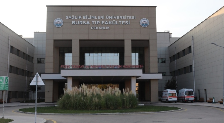 Teknolojii, insanların hareketini yüzde 98'den yüzde 28'e düşürdü