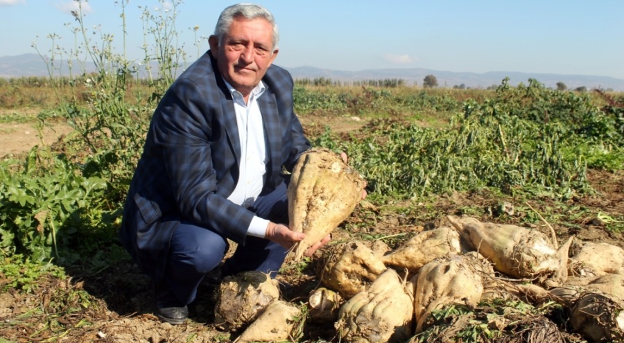 Bursa'da çiftçiler pancar şekeri fiyatından memnun değil
