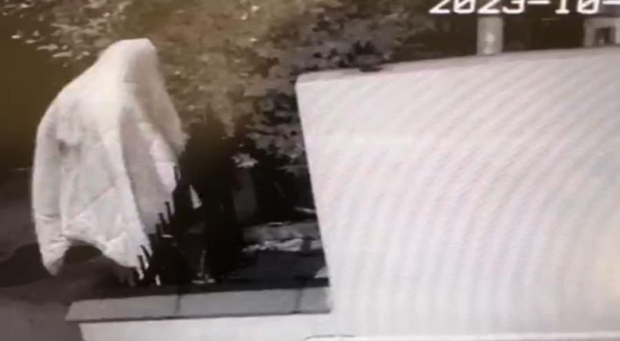 "Hayalet hırsız"a tutuklama!