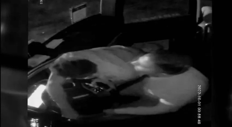 Yolcu otobüsünde faciadan dönüldü! Direksiyona saldırdı