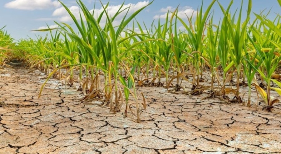BM açıkladı: 10 kişiden 3'ü yeterli gıdaya erişemedi