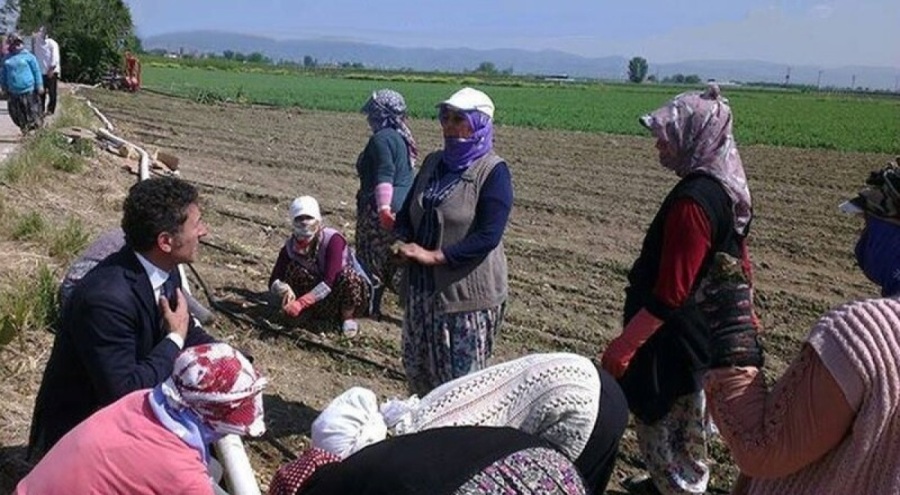 CHP Bursa Milletvekili Sarıbal'dan Dünya Kadın Çiftçiler Günü mesajı