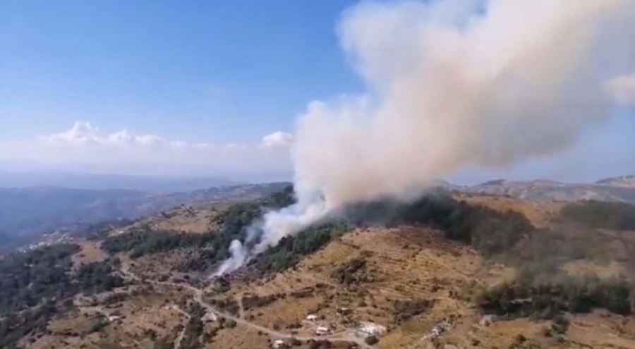 İzmir'de korkutan orman yangını!