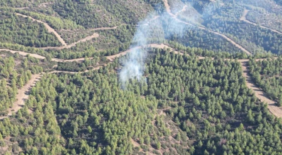 Aydın Nazilli'de orman yangını!