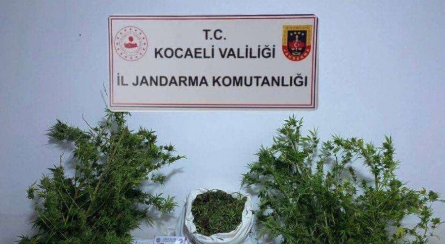 Kocaeli'de 3 ikamete uyuşturucu operasyonu
