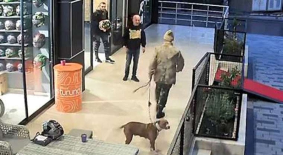Pitbul ve bıçaklı saldırgan gözaltına alındı!