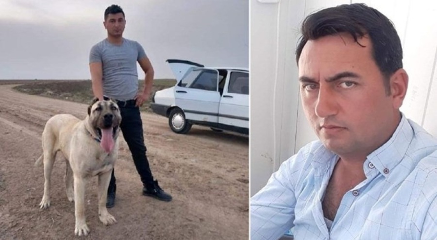 "Benim köpeğim daha iyi" kavgası kanlı bitti