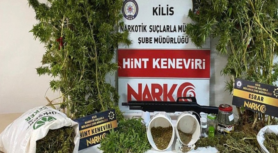 Kilis'te uyuşturucu operasyonu: 4 kilo 410 gram esrar, 648 kök kenevir bulundu