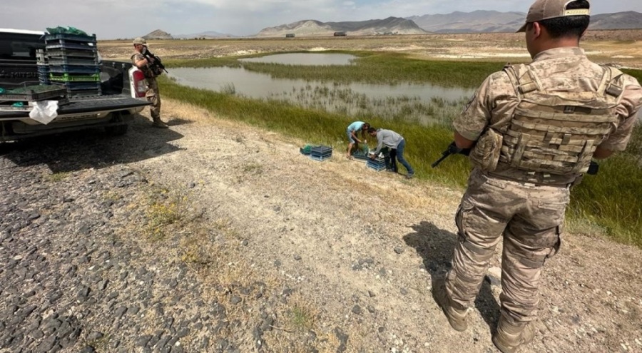Ağrı'da biyokaçakçılara 1 milyon 465 bin lira ceza