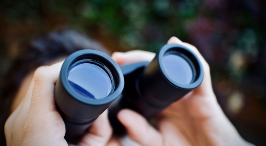 Keskin gözlere sahip olmak için bu 5 besini tüketin!