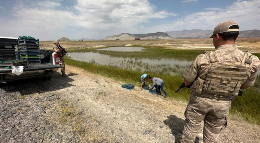 Kurbağa kaçakçılarına ceza kesildi: 1 milyon 465 bin 890 lira