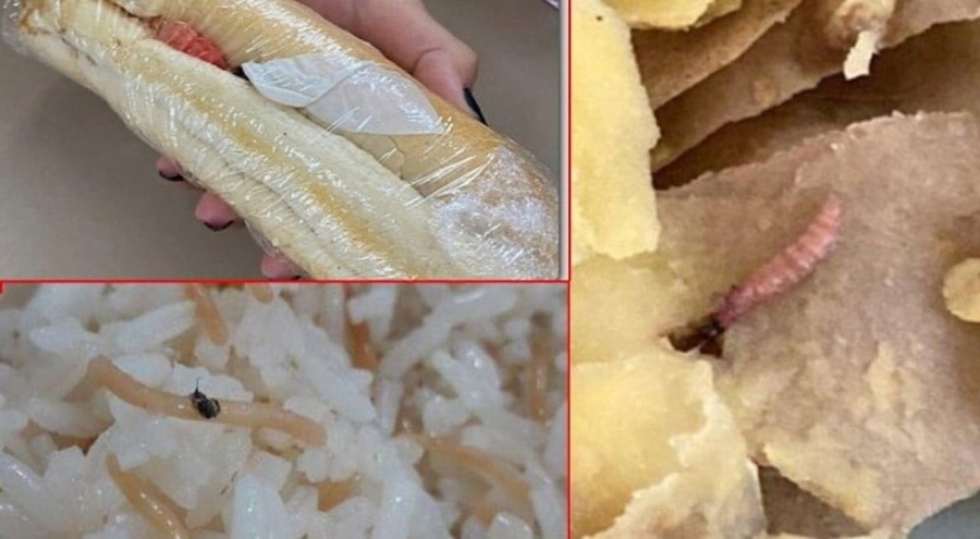 Büyük skandal! Öğrencinin yemeğinde 'yok' yok: Böcek, kurt, eldiven parçası...