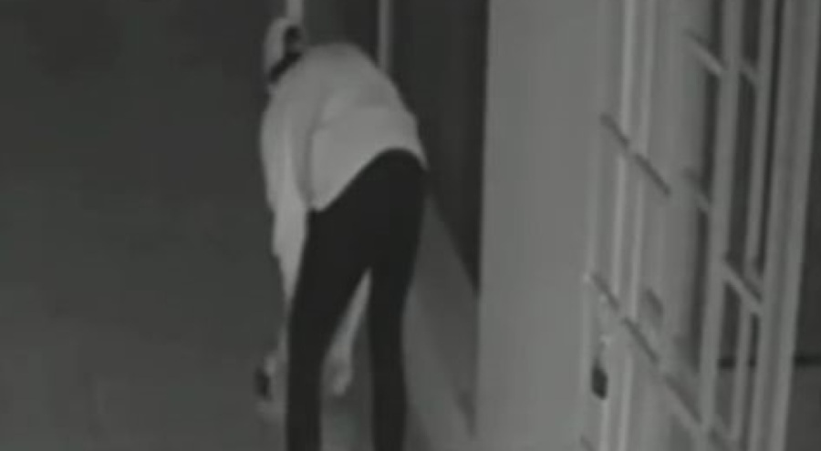 Yavru köpeği öldüren sanık için karar!