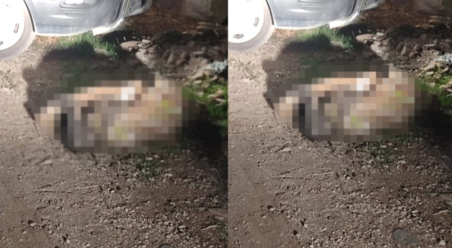 Hatay'da kayıp olarak aranan kadının cinayete kurban gittiği belirlendi