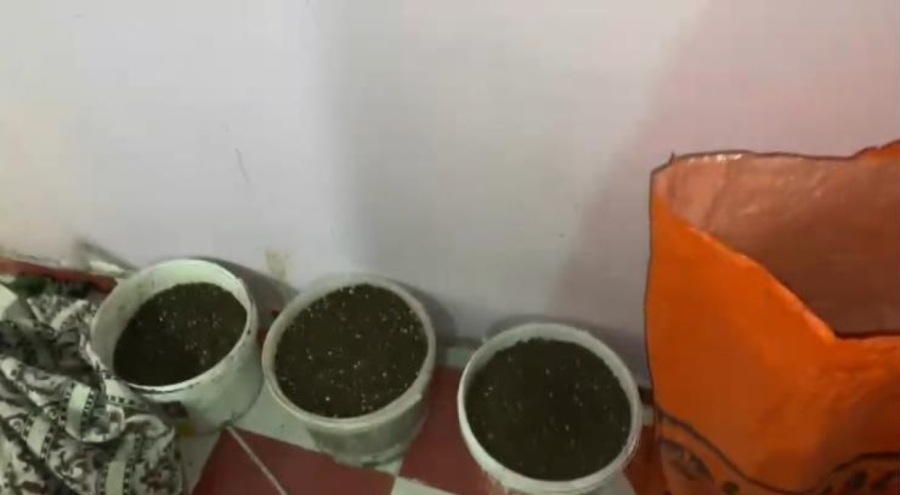 Evde düzenek kurup uyuşturucu yetiştiren şahıs yakayı ele verdi