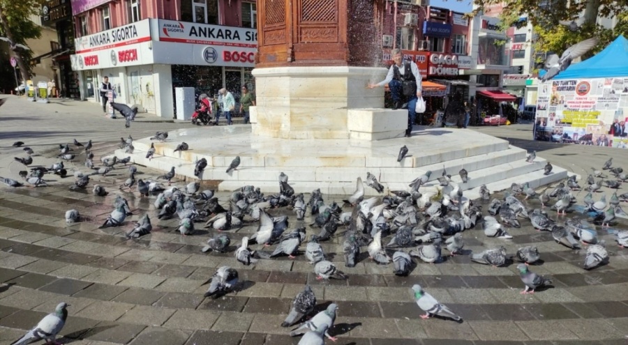 Bursa'da vatandaştan güvercinlere banyo