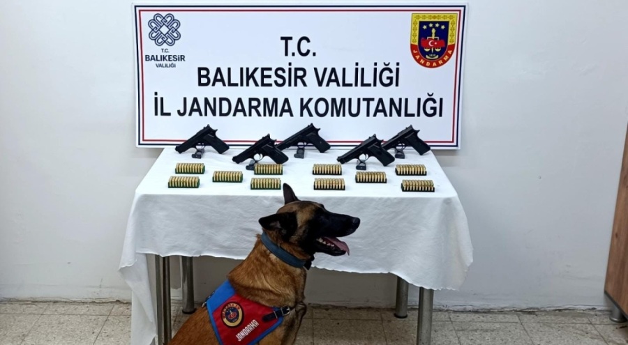 Bomba köpeği 'Vaha' kaçak silahları buldu